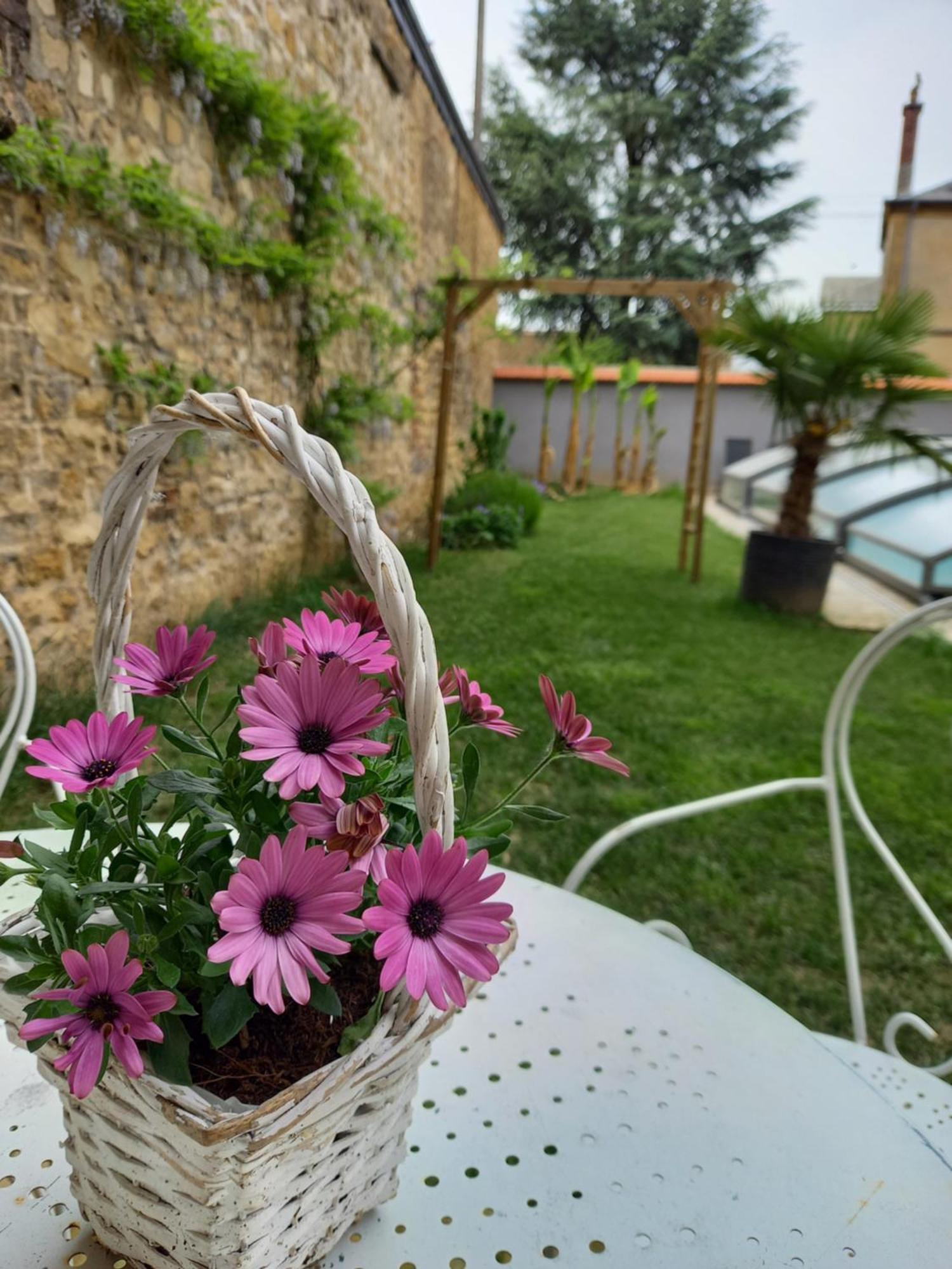 Appartement, 2Eme Etage Avec Piscine Partagee Седан Екстериор снимка